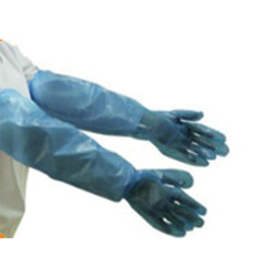 Disposable Gloves